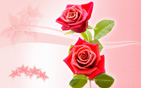 Flower Wallpapers new 13